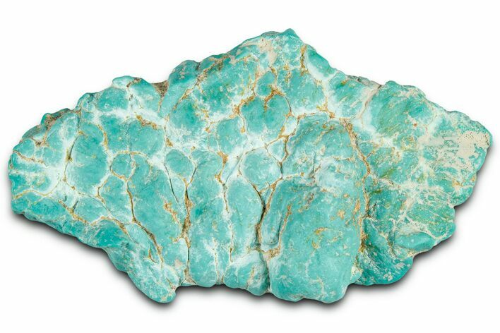Teal Blue Chilean Turquoise Nugget ( grams) #325520